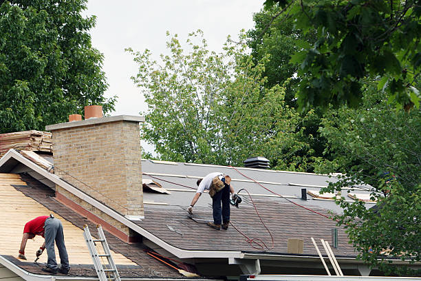 Best New Roof Installation  in Orchard Homes, MT